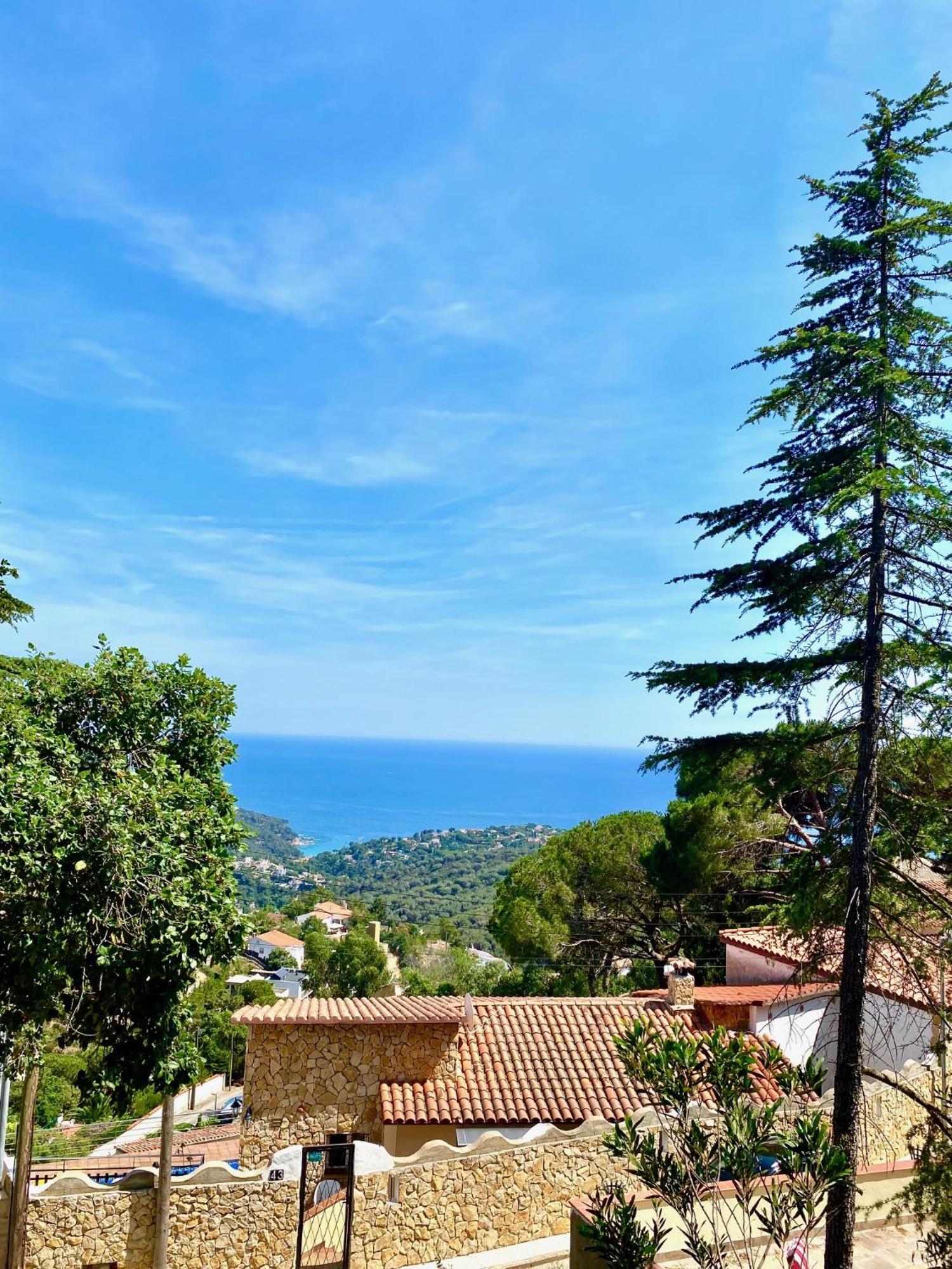 Sea View Forest